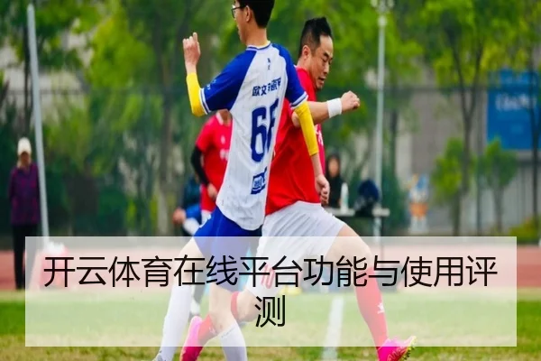 开云体育在线平台功能与使用评测