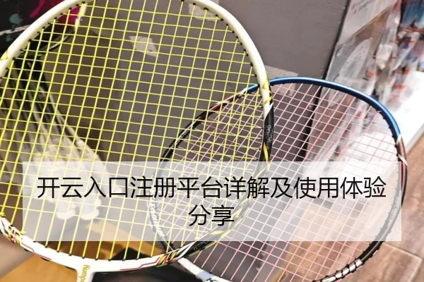开云入口注册平台详解及使用体验分享